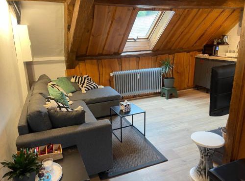 Le hohwald centre appartement 3 pieces # 201