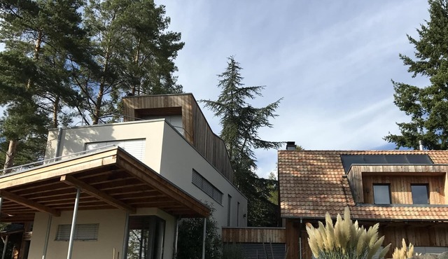 Le Holzberg (8 to 10 pers) - Wellness, sauna and nature 20min from Colmar