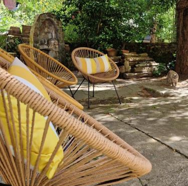 Le jardin aux camélias