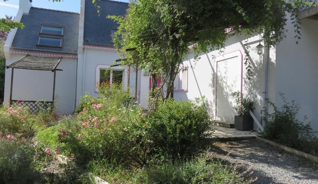 le jardin de lumiere fleuri