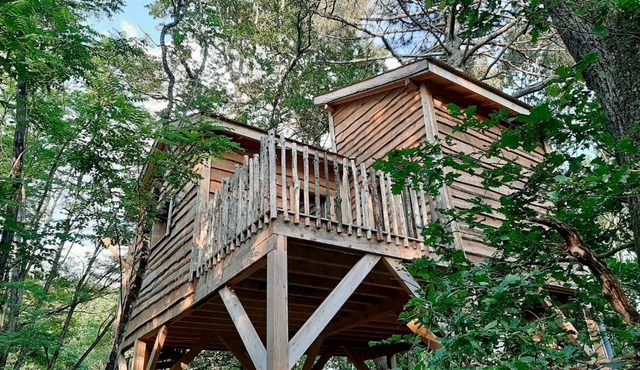 Le Jardin Des Cabanes