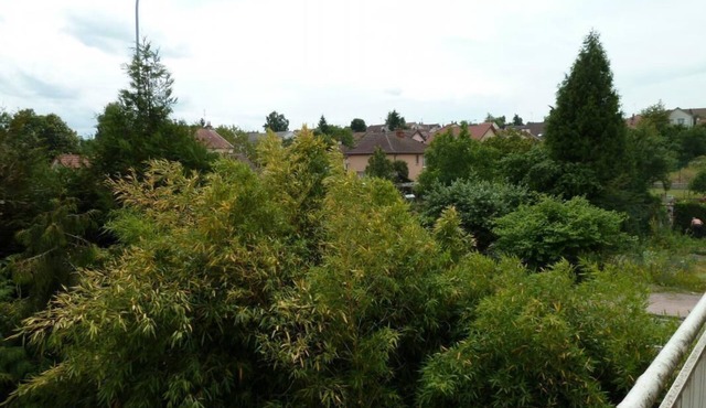 Le Jardin Japonais - Creusot