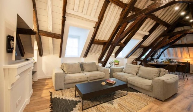 Le Laurencin Sens - Cœur de ville - Le Family (2-bedroom apartment)