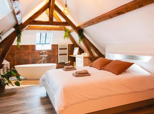 Le Laurencin Sens - Le Duplex - Cœur de ville