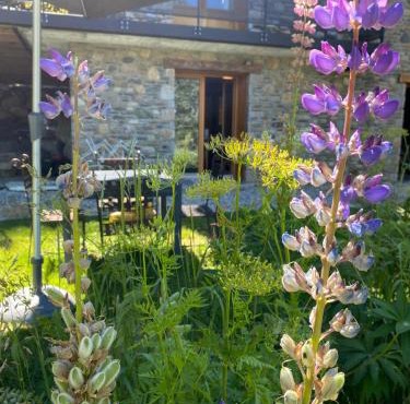 LE LODGE, Pyrénées 2000 - Jardin, très calme, espace rangement