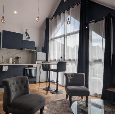 Le Loft - Résidence Chez Gally à Angers