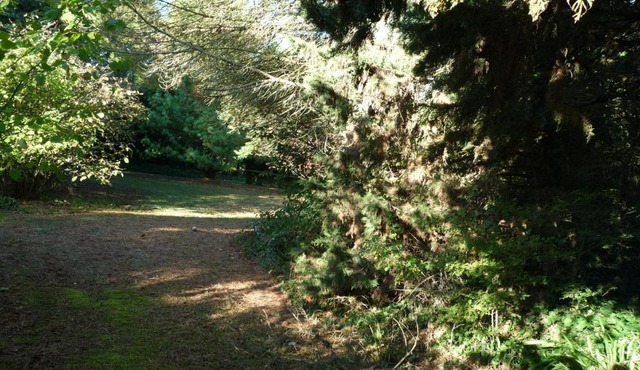 Le Logis du Peu Girard