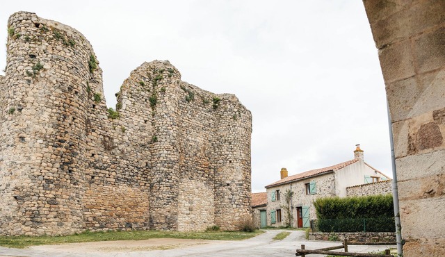 Le logis du vieux Donjon, 10 min from Puy du Fou