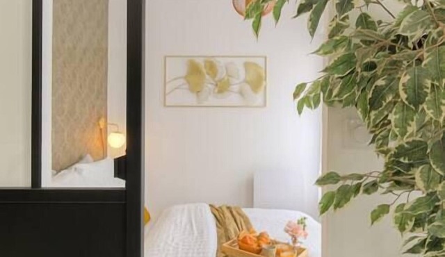 LE Louis DOR -accès Facile Gare/eurexpo/aéoroport