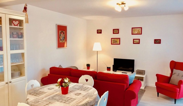 "LE MANALA" charming 3* furnished apartment in Colmar large terrace, park & private parking lot