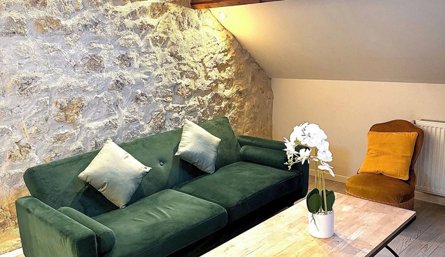 Le maréchal Deluxe T2 Tours centre-Nationale- Vieux tours