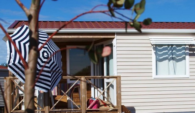 Le Martin Pêcheur - Orist