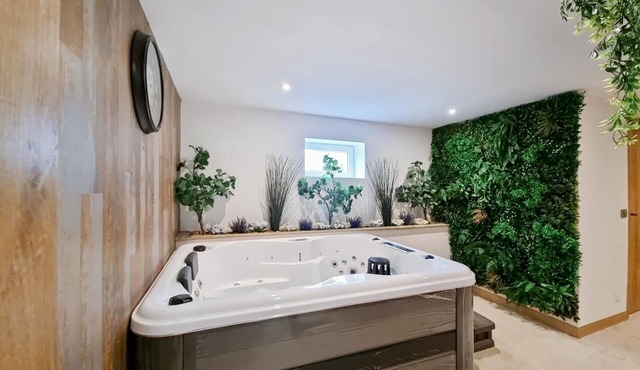 Le Martin Pêcheur - Joncreuil