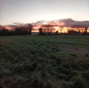 Le mas de la Treille