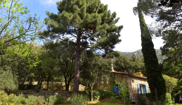 Le mas des cistes - SOREDE