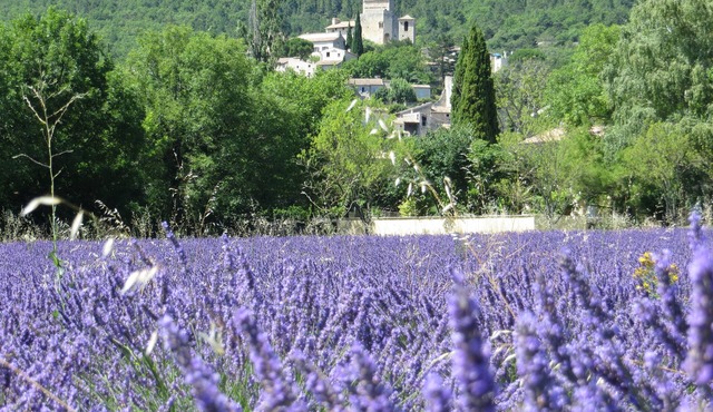 Le Mas des Restanques 3*,located in one of the most beautiful villages in France