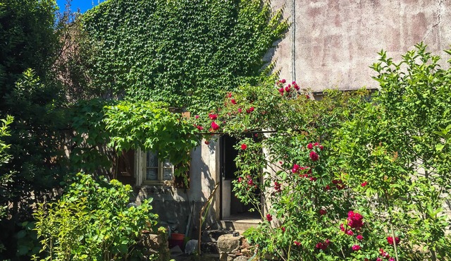 Le Mas du Figuier, vacation home