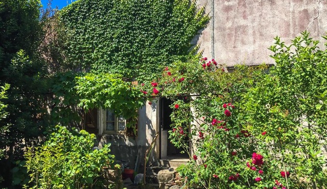 Le Mas du figuier, Maison de vacances