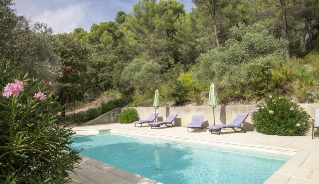 Le Mas Olive - surrounded by greenery with private pool