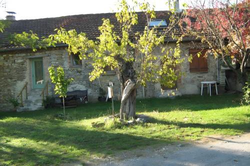 Le Mas Perdu Gîte Studio Parme