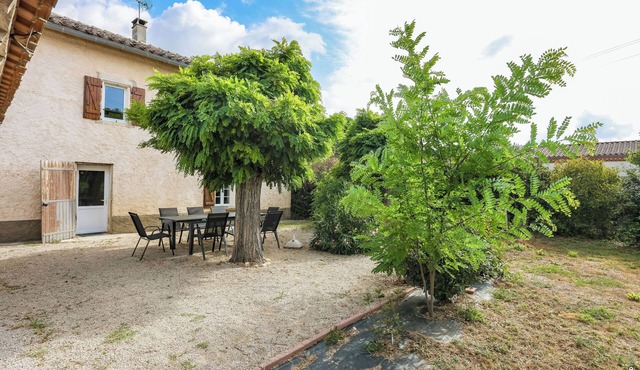 Le Mazet de Pendaries - Garden - Gaillac