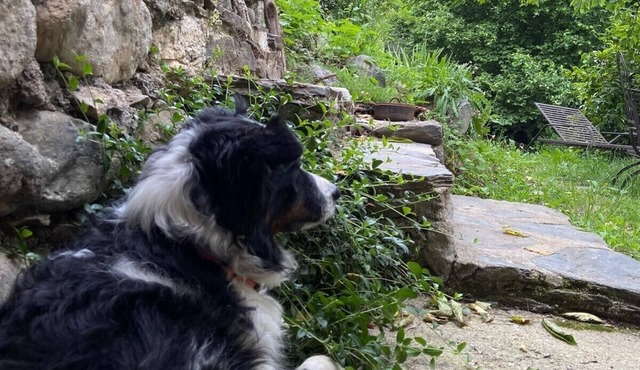 Le Mazet du Ron des Perles