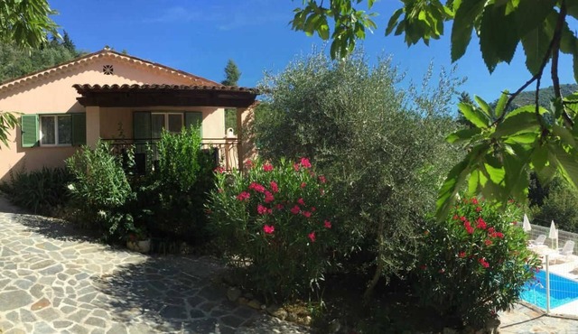 Le Mimosa - BENDEJUN