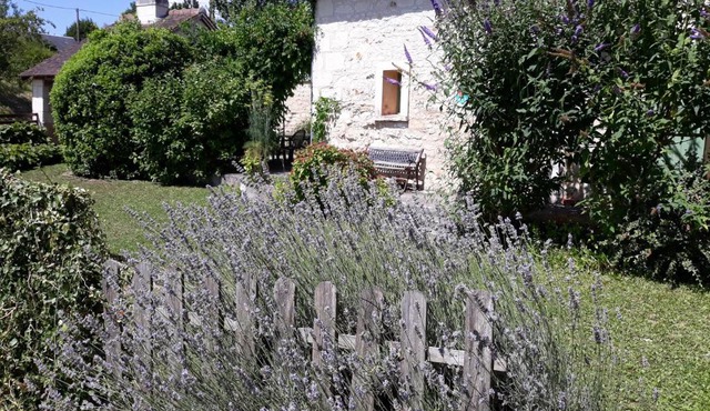 Le Misteflore