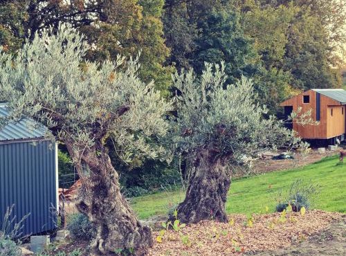 Le monde d'Echozellia