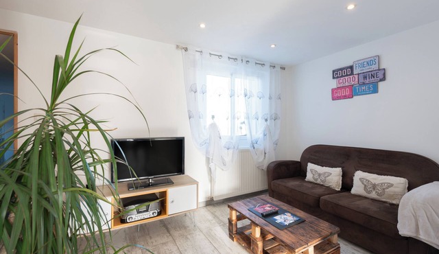 Le Montaigu – Bright apartment with view of Pic du Midi, nature and relaxation