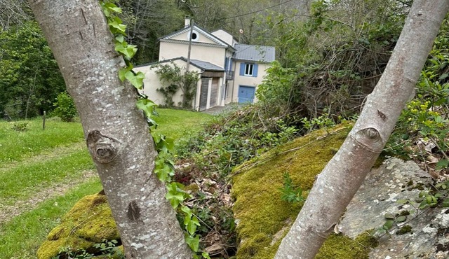 "Le Moulin de Camelière" Back to the roots in the Montagne Noire