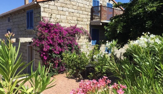 Le Moulin de Figari-Gîte-Ensuite with Shower-Family-Pool view