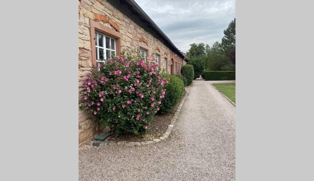 LE MOULIN DE GRESSWILLER