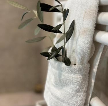 le moulin de l oliveraie