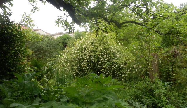 Le Moulin des Marionnettes