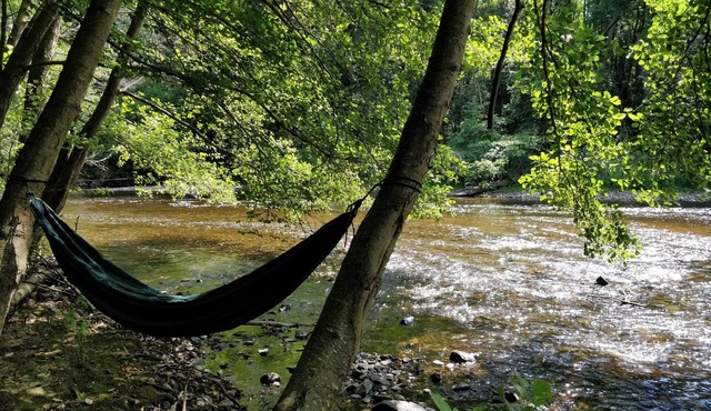 Le Moulin Des Valignards