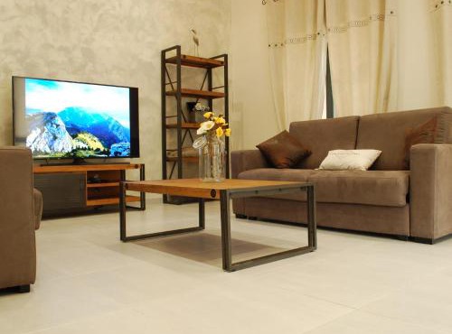 Le MOULIN des CHARTREUX - 1733