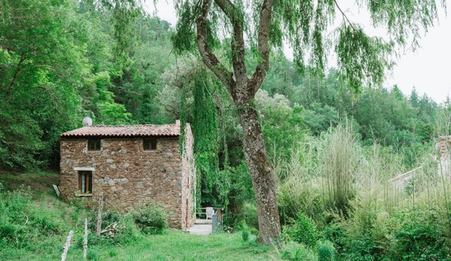 Le moulin - ST-LAURENT-DE-CERDANS