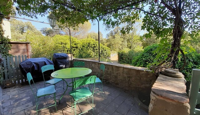 Le Moulin - Gîte 6 personnes - RIVIERE-SPA-NATURE - 1 animal accepted