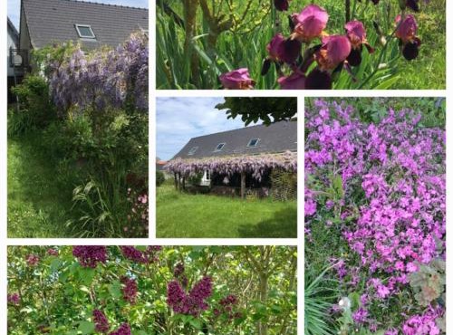 Le mouton à bicyclette