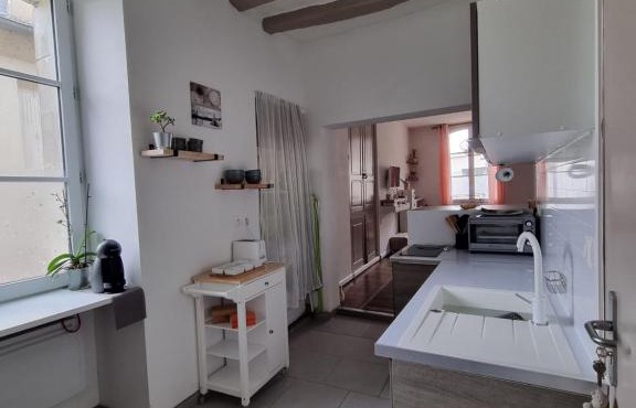 Le murier ensoleillé