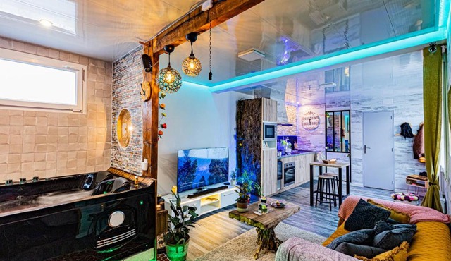 Le Néflier Dijon - appart balnéo - SPA romantique pour 2