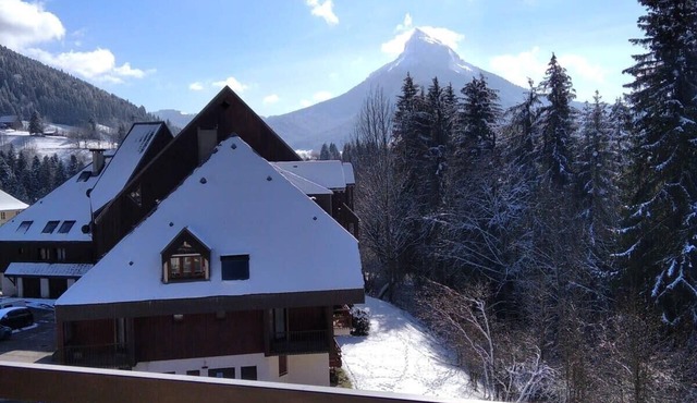 Le nid de Chamechaude