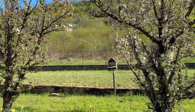Le Nid, a house close to the forest
