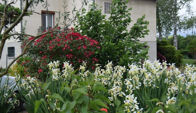 Le Nid de l'Ecureuil