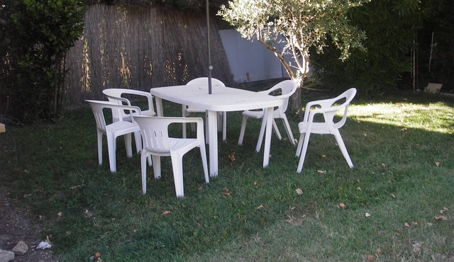 Le nid de la sorguette