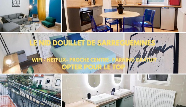Le nid douillet de Sarreguemines