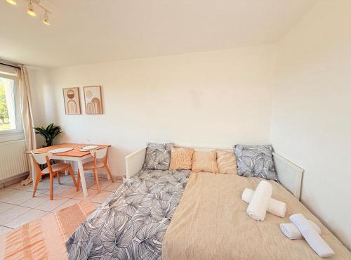 Le Nid Douillet - Parking Included - Haguenau