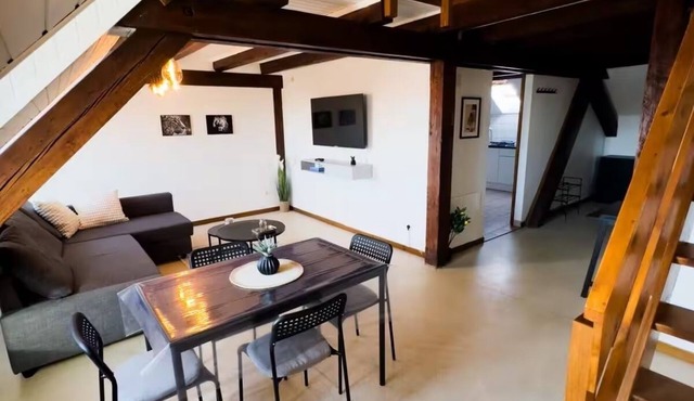 Le Nid -Lovely 1-bedroom apartment in charming Soultz-Haut-Rhin