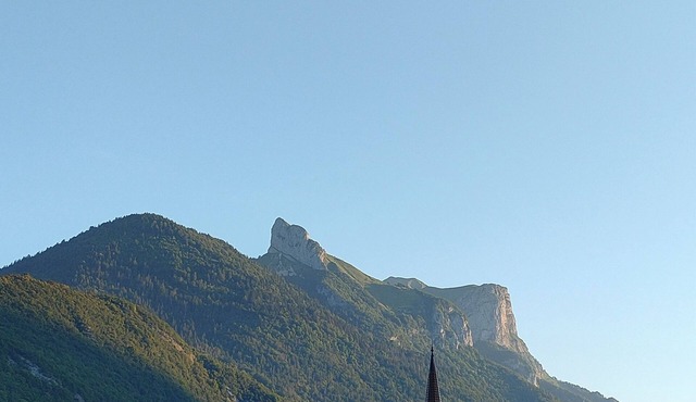 LE NID SAVOYARD